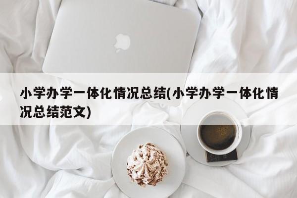 小学办学一体化情况总结(小学办学一体化情况总结范文)