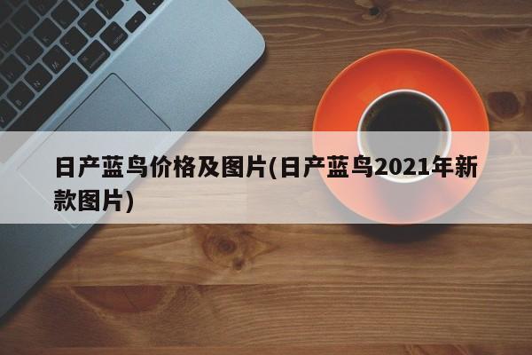 日产蓝鸟价格及图片(日产蓝鸟2021年新款图片)