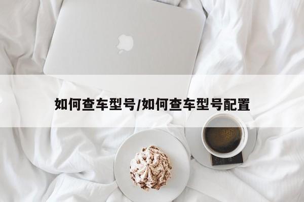 如何查车型号/如何查车型号配置