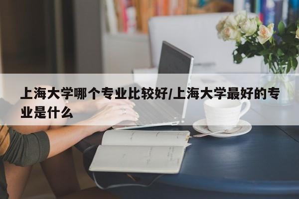 上海大学哪个专业比较好/上海大学最好的专业是什么
