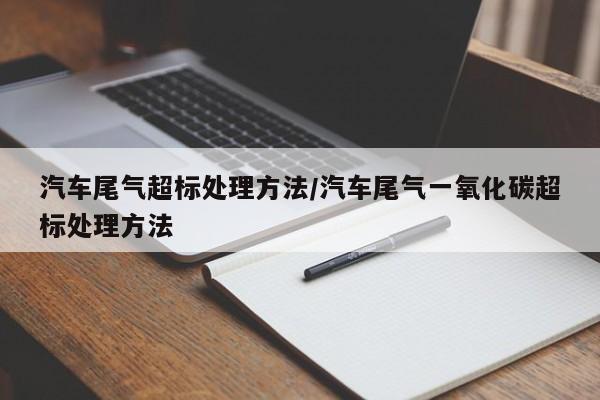 汽车尾气超标处理方法/汽车尾气一氧化碳超标处理方法