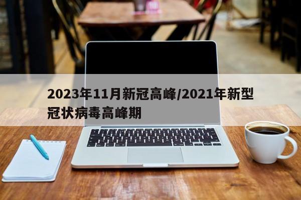 2023年11月新冠高峰/2021年新型冠状病毒高峰期