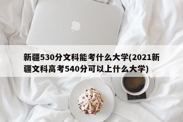 新疆530分文科能考什么大学(2021新疆文科高考540分可以上什么大学)