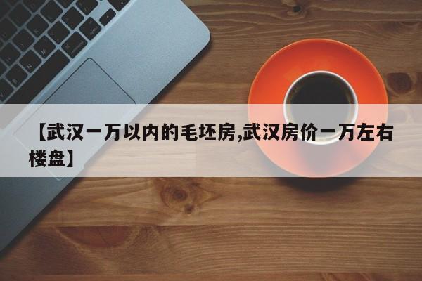 【武汉一万以内的毛坯房,武汉房价一万左右楼盘】